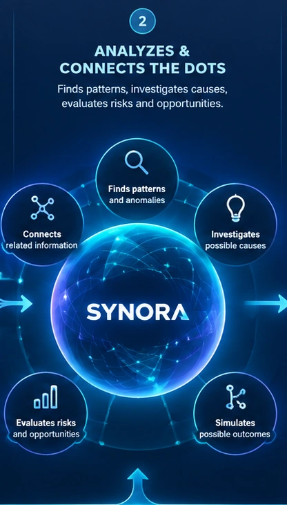 SYNORA analysis illustration: connects related information, finds patterns and anomalies, investigates possible causes, evaluates risks, and simulates outcomes.
